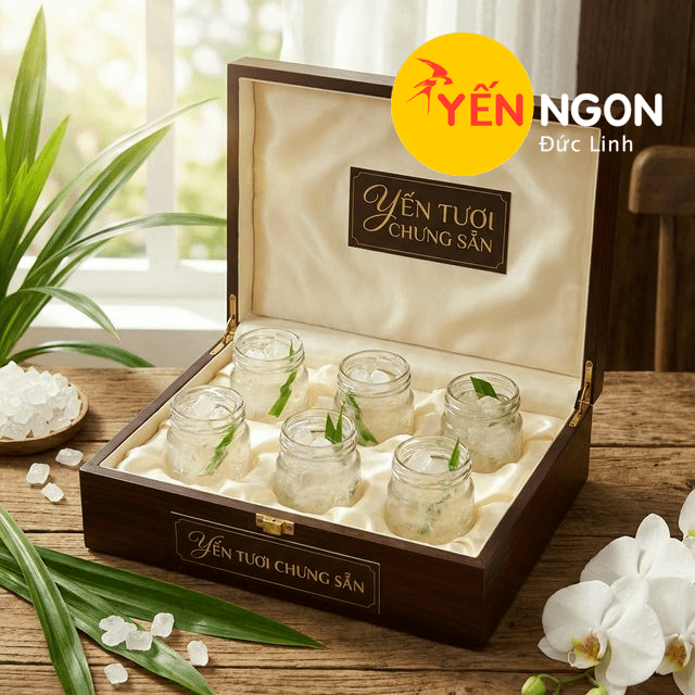 Yến Tươi Chưng Sẵn - 6 hũ